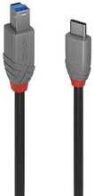 Kaabel Lindy Anthra Line USB 3.2 Type C - USB-B, 0.5 m, must