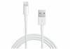 Kaabel Apple MXLY2ZM/A, Lightning to USB, 1 m, valge
