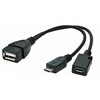Kaabel Gembird A-OTG-AFBM-04, USB OTG, 0.15 m
