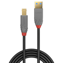 Kaabel Lindy, USB-A - USB-B, 0.5 m, hall