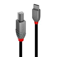 Kaabel Lindy 36942 USB 2.0 Type C - B, 2 m, must
