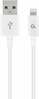 Kaabel Gembird CC-USB2P-AMLM-2M-W, USB-A - Lightning, 2 m, valge