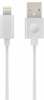 Juhe Forever GSM015229, USB - Apple Lightning, 100 cm, valge