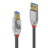 Kaabel Lindy 36661 USB 3.2 Type A 	o B, 1 m, kroom