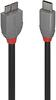 Kaabel Lindy Anthra Line USB 3.2 Type C - Micro-B, 1 m, must