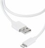 Kaabel Vivanco 36299 Lightning - USB, 1.2 m, valge