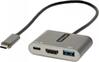 Adapter Startech CDP2HDUACP2 USB C - HDMI hõbe