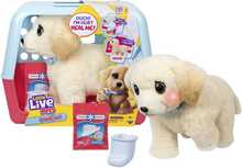 Pehme mänguasi Little Live Pets Ouchies Cooper, 26679