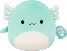 Pehme mänguasi Squishmallows P25 Anastasia Axolotl, 30 cm