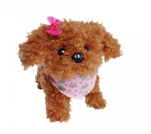 Pehme kutsu Simba Chi Chi Love, 105890015, 16 cm