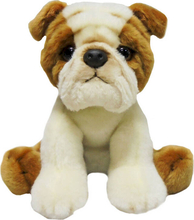 Pehme mänguasi Minikid, Bulldog, 30 cm