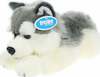 Pehme mänguasi koer Husky, 42 cm, valge/hall