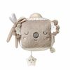 Arendav kuubik Babyono B.O.1637 Koala Coco