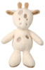 Pehme kaelkirjak Nattou Teddy, 37 cm, Ecru