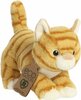 Pehme mänguasi Aurora Eco Nation oranž kassipoeg, 15 cm