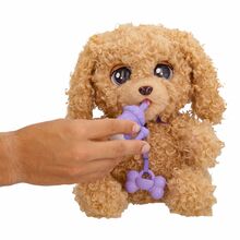 Interaktiivne kutsikas Baby Paws Labradoodle, 25 cm, 264-921153