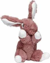 Pehme mänguasi Molli Toys Bunny 428170, valge/roosa, 17 cm