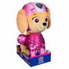 Pehme mänguasi PAW PATROL Deluxe Air Rescue SPIN MASTER 6071652