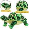 Pehme kilpkonn Lean Toys, roheline, 25 cm