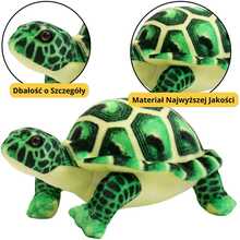 Pehme kilpkonn Lean Toys, roheline, 25 cm
