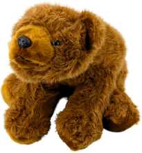 Pehme mänguasi Lean Toys pruun karu, 28 cm