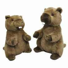 Pehme mänguasi Brune BIGBUY KIDS 38 cm pruun