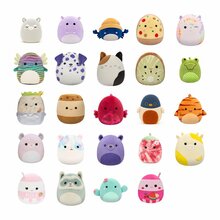 Pehme mänguasi Squishmallows W5 Micromallows