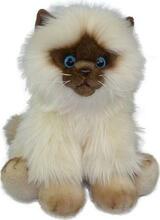 Pehme mänguasi Smily Play Siamese Cat, pruun, 24 cm