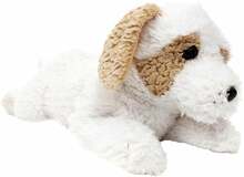 Pehme mänguasi koer Madej Havanese Dog, 60 cm, pruun/valge