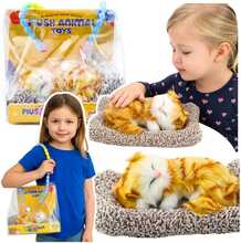 Dekoratiivne figuur Lean Toys Sleeping Ginger Cat on a Pillow