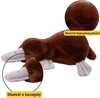 Pehme mänguasi nokkloom Lean Toys, 32 cm