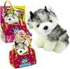 Pehme mänguasi Lean Toys Husky Dog In A Bag, valge/hall