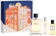 Parfüüm meestele Hermes Terre dHermes EDT 100 ml