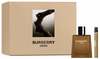 Komplekt meestele Burberry Hero EDP 100 ml + mini EDP 10 ml