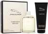 Jaguar Classic Gold kinkekomplekt meestele EDT 100 ml + dušigeel 200 ml
