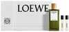 Loewe Esencia EDP 100 ml komplekt, Mini 10 ml, 7 Cob 10 ml