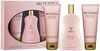 Aire De Sevilla Rose EDT 100 ml kinkekomplekt naistele