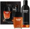 Komplekt meestele Guy Laroche Drakkar Noir Intense EDP 100 ml + kehasprei 200 ml