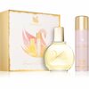 Gloria Vanderbilt Vanderbilt EDT 100 ml + kehapiim 100 ml kinkekomplekt naistele