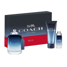 Komplekt meestele Coach Blue EDT 100 ml + EDT 15 ml + dušigeel Beard & Hair 100 ml
