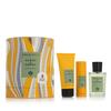 Acqua Di Parma Colonia Futura EDC 100 ml + dušigeel 75 ml + deodorant 50 ml