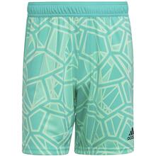 Väravavahi lühikesed püksid Adidas Condivo 22 HB1624, XL, rohelised