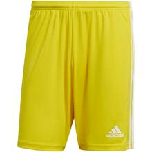 Meeste lühikesed püksid Adidas Squadra 21 GN5772, M, kollased