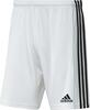 Lühikesed püksid Adidas Squadra 21 GN5773, M, valge