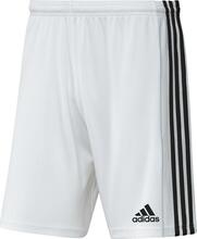 Lühikesed püksid Adidas Squadra 21 GN5773, M, valge