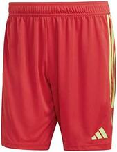 Meeste lühikesed püksid Adidas Tiro 23 League IB8090, M, punane