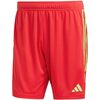 Lühikesed püksid Adidas Tiro 23 League IB8090, L, punane