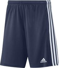 Lühikesed püksid Adidas Squadra 21 Short M GN5775, XL, sinine