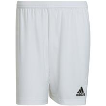 Lühikesed püksid Adidas Entrada 22 M HG6295, S, valge