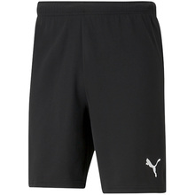 Meeste lühikesed püksid Puma TeamRISE 704942 04, M, must